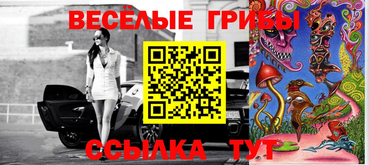 Галлюциногенные грибы прущие грибы  Вход с VPN  Троицк 